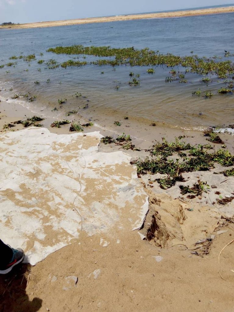 Article : Les jeunes engag&eacute;s pour le Climat se retrouvent &agrave; Abidjan, au Sommet Climate Chance Afrique