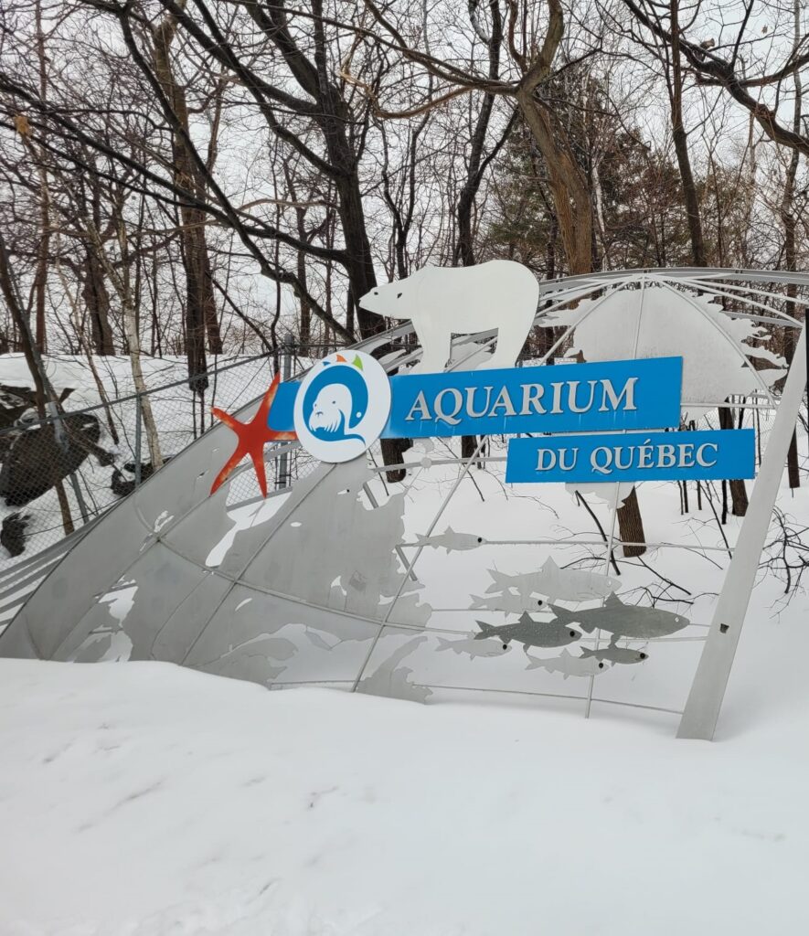 Article : L’Aquarium du Québec : une invitation à la protection de la vie sous-marine