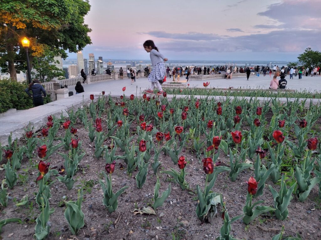 Une adorable petite fille profitant des merveilles du Mont Royal, en jouant autour de ces plants de tulipes. :)