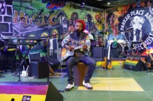 Article : Le festival Afropolitain 2019 fait vibrer le Parker Place au rythme du reggae